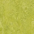 Marmoleum Authentic