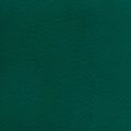 Forest_green Снят с производства